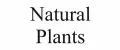 Natural Plants
