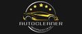 Auto Cleaner