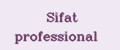 Sifat professional