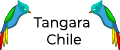 Аналитика бренда Tangara Chile на Wildberries