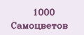 Аналитика бренда 1000 Самоцветов на Wildberries