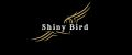 Аналитика бренда Shiny bird на Wildberries