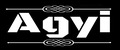 Agyi