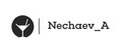 Аналитика бренда Nechaev_A на Wildberries