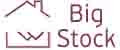 Big Stock