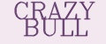 CRAZY BULL