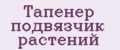 Аналитика бренда Тапенер подвязчик растений на Wildberries