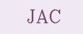 Аналитика бренда JAC на Wildberries