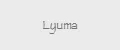 Lyuma