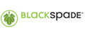 Аналитика бренда BlackSpade на Wildberries