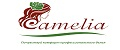Аналитика бренда Camelia на Wildberries