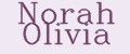 Аналитика бренда Norah OLIVIA на Wildberries