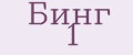 Бинг 1