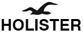 HOLISTER