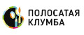 Полосатая клумба