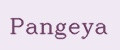 Pangeya