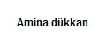 Amina dükkan