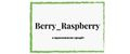 Аналитика бренда Berry_Raspberry на Wildberries