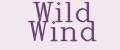 Аналитика бренда Wild Wind на Wildberries