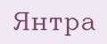 Янтра