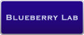 Аналитика бренда Blueberry LAB на Wildberries