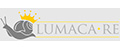 Аналитика бренда LUMACA-RE на Wildberries