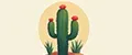 Succulents & MORE