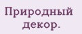 Аналитика бренда Природный декор. на Wildberries