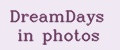 DreamDays in photos