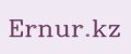 Ernur.kz