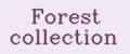 Аналитика бренда Forest collection на Wildberries