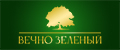 Вечно зеленый